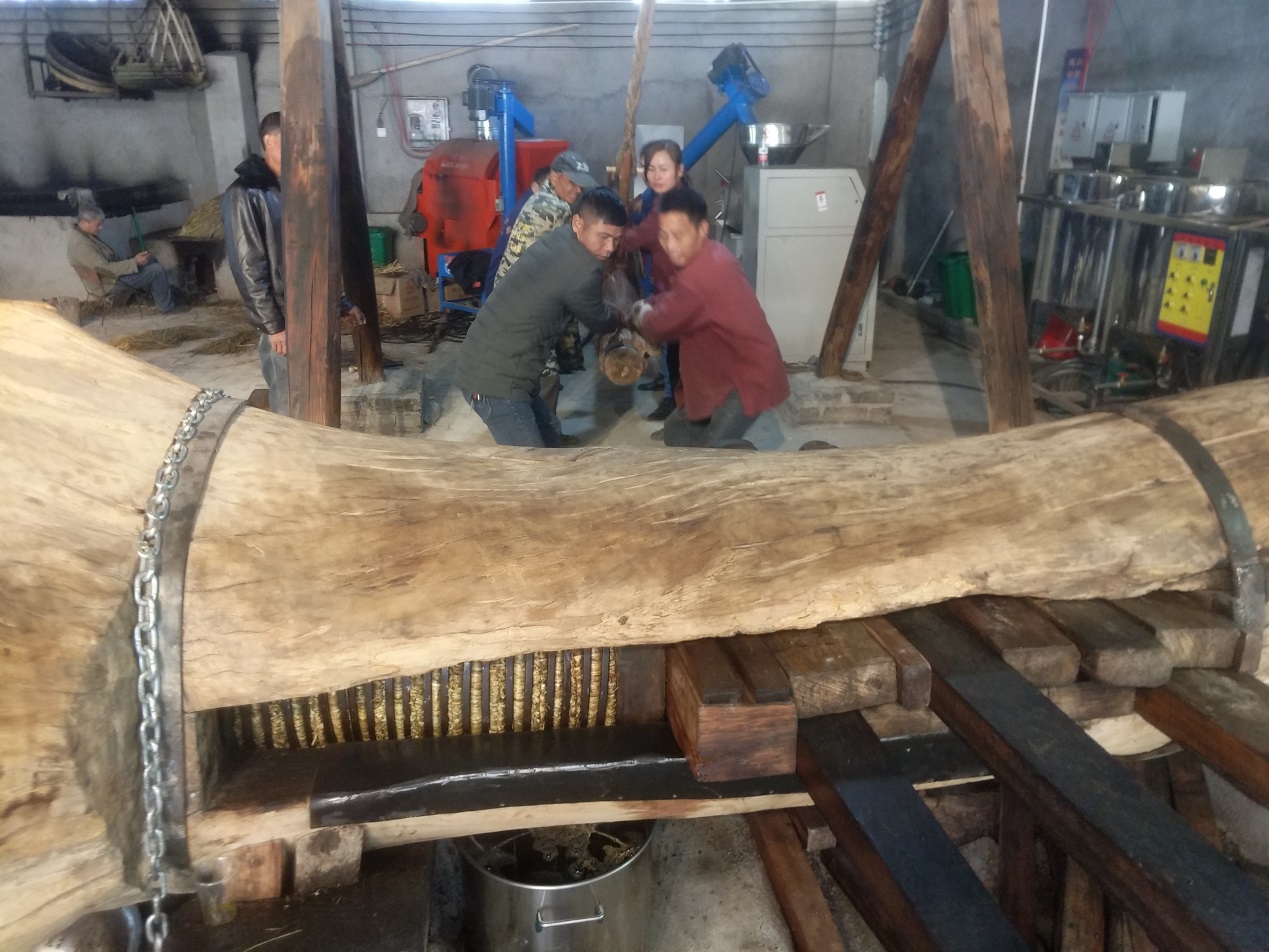 道县众旺油茶种植农民专业合作社